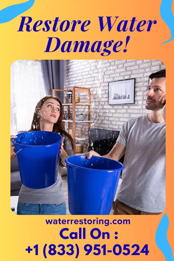 water restoration Ideal Disaster Recovery Pros Deering